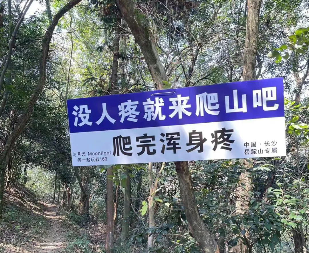 爬山文案，出圈了(le)！